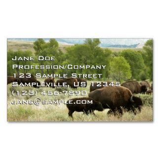 Tarjeta De Visita Magnética Fotografía de animales de la naturaleza de Wyoming