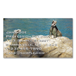 Tarjeta De Visita Magnética Fotografía de Iguanas y Vida Silvestre Tropical