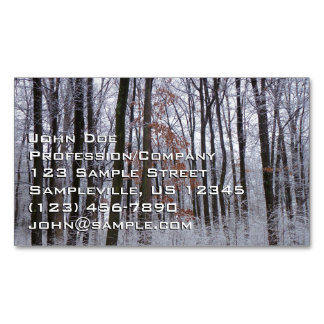 Tarjeta De Visita Magnética Fotografía del paisaje invernal de la nieve desech