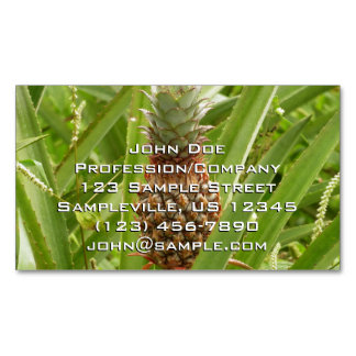 Tarjeta De Visita Magnética Fruta tropical de la piña silvestre en la naturale