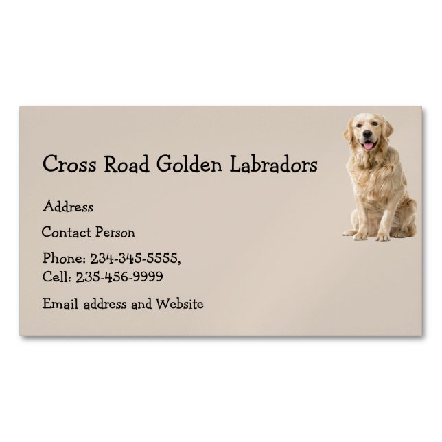 Tarjeta De Visita Magnética Golden Labrador Dog Mascota Animal Business Card M (Anverso)