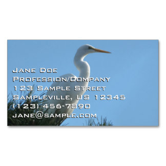 Tarjeta De Visita Magnética Gran Garza en Florida Soleada