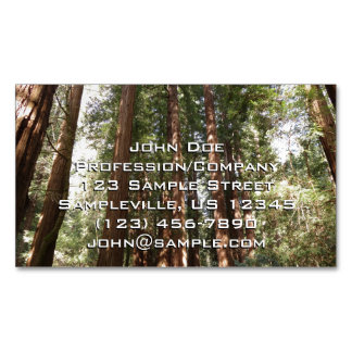 Tarjeta De Visita Magnética Hasta Redwoods II en el Monumento Nacional Muir Wo