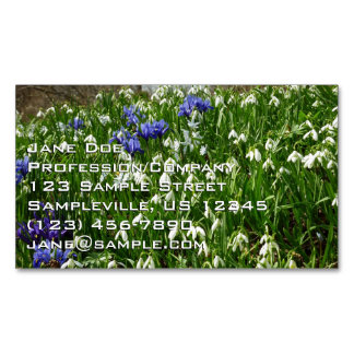 Tarjeta De Visita Magnética Ladera de flores de principios de primavera Paisaj