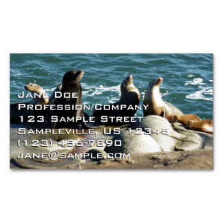 Tarjeta De Visita Magnética Leones del mar de San Diego