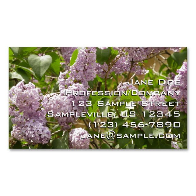 Tarjeta De Visita Magnética Lilac Bush hermosas flores de primavera morada (Anverso)