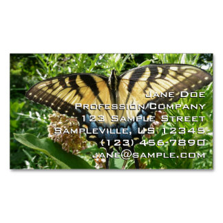 Tarjeta De Visita Magnética Mariposa cola de golondrina II en Shenandoah