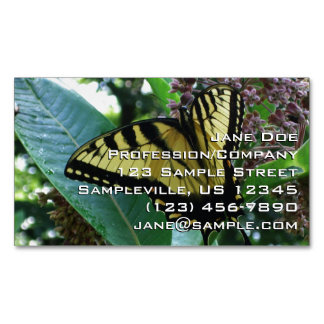 Tarjeta De Visita Magnética Mariposa de cola torta I en Milkweed en Shenandoah