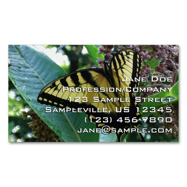 Tarjeta De Visita Magnética Mariposa de cola torta I en Milkweed en Shenandoah (Anverso)