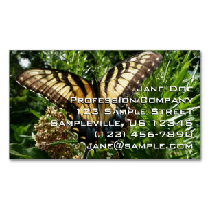 Tarjeta De Visita Magnética Mariposa Swallowtail III Foto Hermosa y Colorida