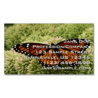 Tarjeta De Visita Magnética Mariposa Viceroy Hermosa Fotografía de la Naturale