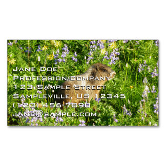 Tarjeta De Visita Magnética Marmot en Mont Rainier Wildflowers