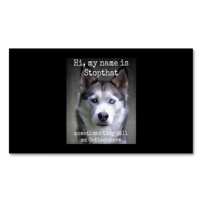 Tarjeta De Visita Magnética Mi nombre es Stopthat Funny Hyper Siberian (Anverso)