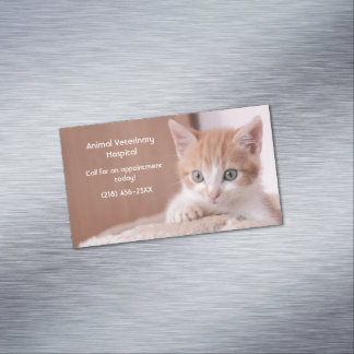 Tarjeta De Visita Magnética Naranja Kitten Pet Care