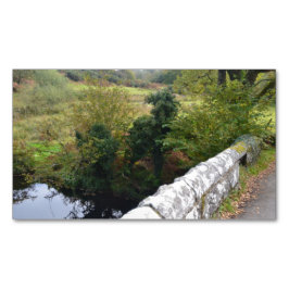 Tarjeta De Visita Magnética nature way of impersonating animals