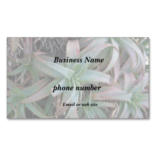 Tarjeta De Visita Magnética Nevada succulantes