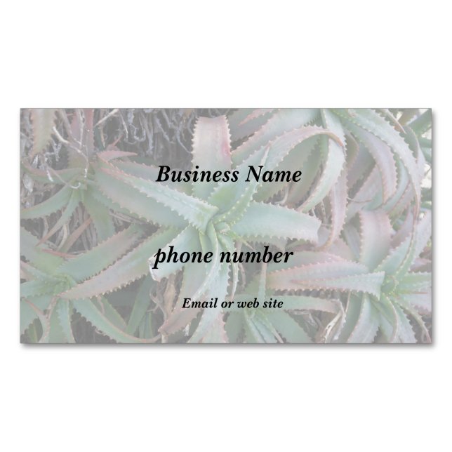 Tarjeta De Visita Magnética Nevada succulantes (Anverso)