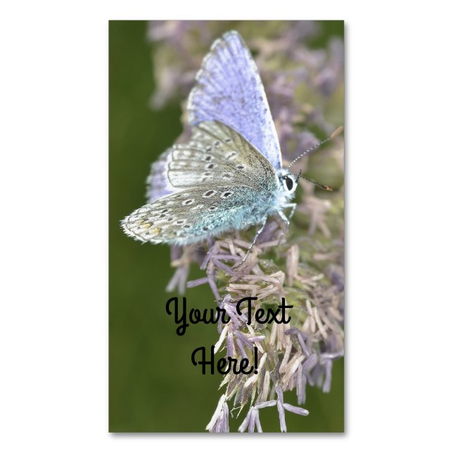 Tarjeta De Visita Magnética Pequeña belleza (Frente vertical)