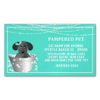 Tarjeta De Visita Magnética Perro blanco verde azulado en un Groomer del Masco