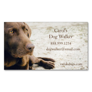 Tarjeta De Visita Magnética Personalizado Dog Walker, Mascota Sitting Business