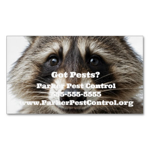 Tarjeta De Visita Magnética Personalizado Raccoon Control de plagas Magnet