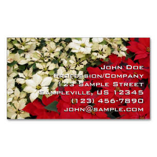 Tarjeta De Visita Magnética Poinsettias blancas y rojas con flores