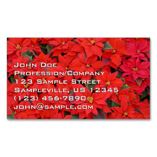 Tarjeta De Visita Magnética Poinsettias rojas Navidad la foto floral navideña