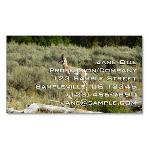 Tarjeta De Visita Magnética Pronghorn en el Parque Nacional de Grand Teton