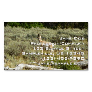 Tarjeta De Visita Magnética Pronghorn en el Parque Nacional de Grand Teton