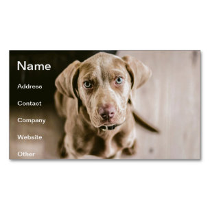 Tarjeta De Visita Magnética Retrato de perro