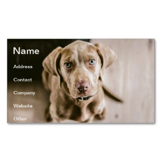Tarjeta De Visita Magnética Retrato de perro