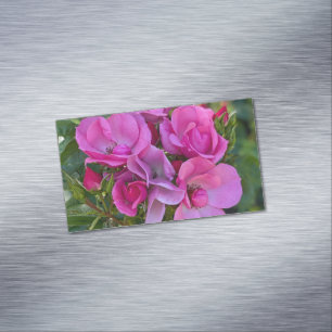 Tarjeta De Visita Magnética Rosa rosa de lavanda