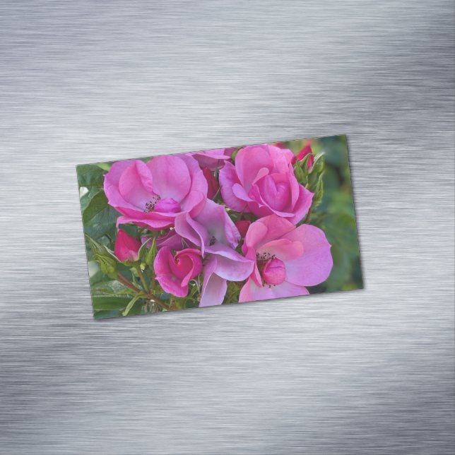 Tarjeta De Visita Magnética Rosa rosa de lavanda (In Situ)