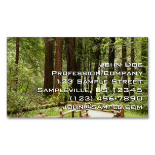 Tarjeta De Visita Magnética Sendero de Muir Woods I Fotografía de la Naturalez