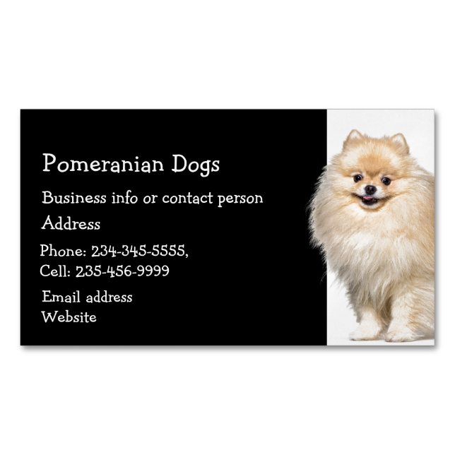 Tarjeta De Visita Magnética Sitter Mascota de Perros de Pomerania (Anverso)