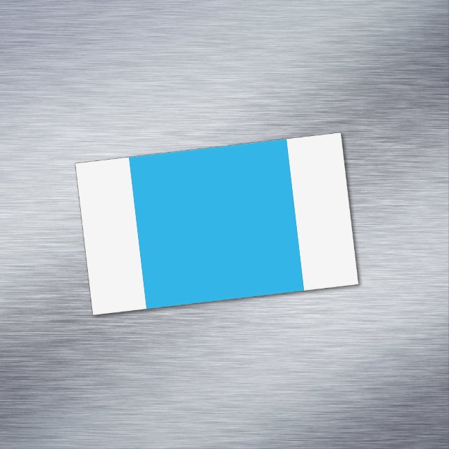 Tarjeta De Visita Magnética Solid Cyan Blue Background  (In Situ)