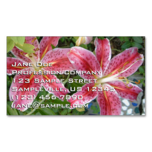 Tarjeta De Visita Magnética Stargazer Lilies Garden Floral