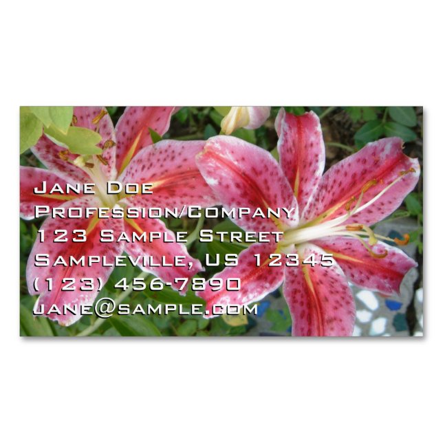 Tarjeta De Visita Magnética Stargazer Lilies Garden Floral (Anverso)