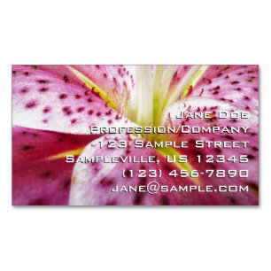 Tarjeta De Visita Magnética Stargazer Lily Bright Magenta Floral