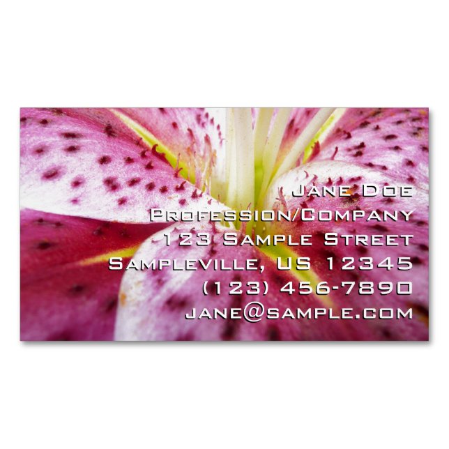 Tarjeta De Visita Magnética Stargazer Lily Bright Magenta Floral (Anverso)