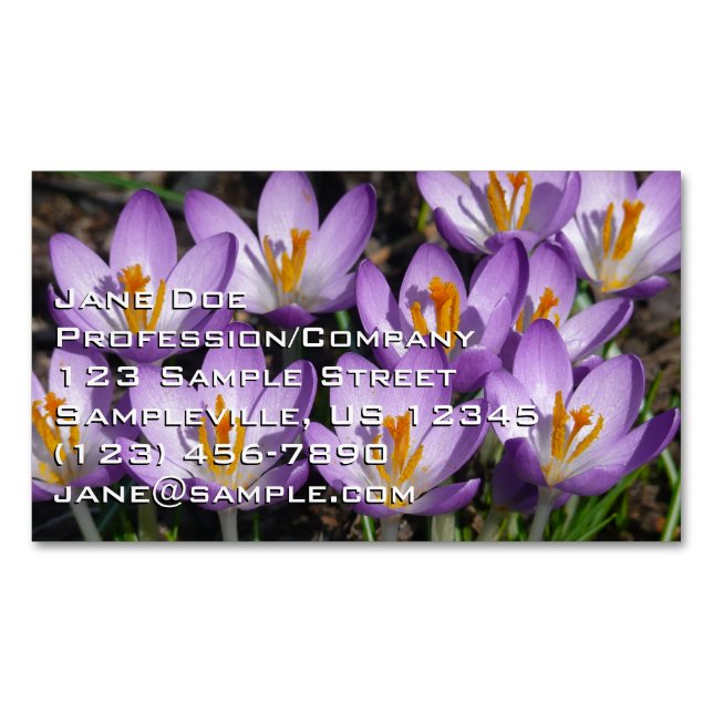 Tarjeta De Visita Magnética Sunny Purple Crocuses (Anverso)