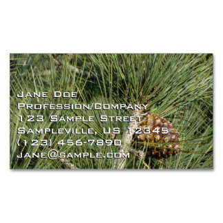 Tarjeta De Visita Magnética Torrey Pine Closeup California Botanical