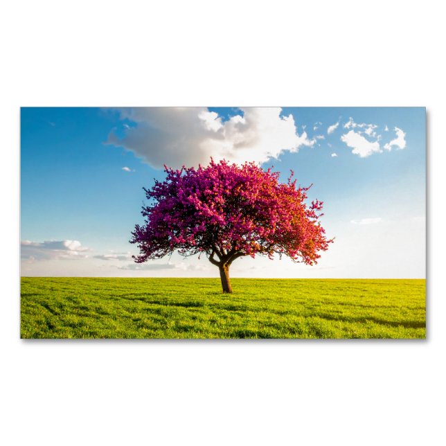 Tarjeta De Visita Magnética tree (Anverso)