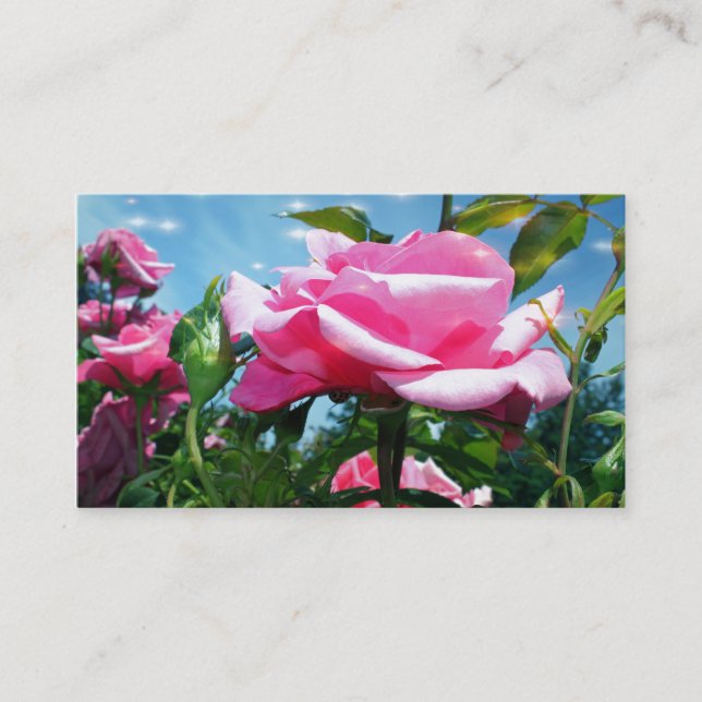 Tarjeta De Visita Magníficas flores rosadas en perfil de cielo azul (Anverso)