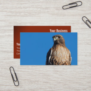 Tarjeta De Visita Magnífico halcón de cola roja al sol