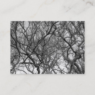 Tarjeta De Visita Magnolia Tree Branches B&W