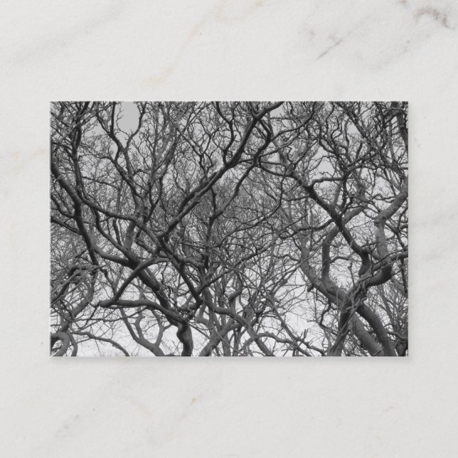 Tarjeta De Visita Magnolia Tree Branches B&W (Anverso)