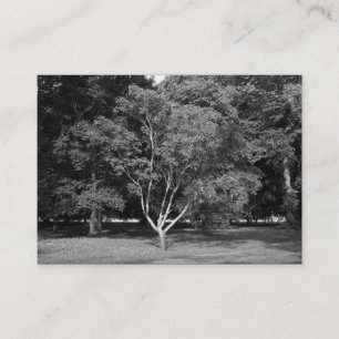 Tarjeta De Visita Magnolia Tree BW