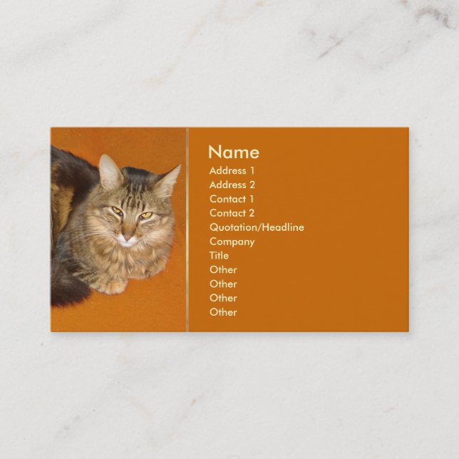 Tarjeta De Visita Maine Coon Cat (Anverso)
