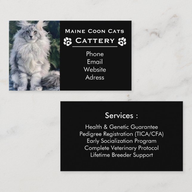 Tarjeta De Visita Maine Coon Cattery & Professional Breeder Black (Anverso / Reverso)